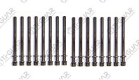 КОМПЛЕКТ БОЛТОВ (ГБЦ) TG-CHB029-SET * Ti•GUAR КОМПЛЕКТ БОЛТОВ (ГБЦ) TG-CHB029-SET * Ti•GUAR