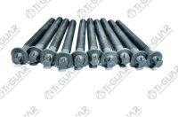 КОМПЛЕКТ БОЛТОВ (ГБЦ) TG-CHB025-SET * Ti•GUAR КОМПЛЕКТ БОЛТОВ (ГБЦ) TG-CHB025-SET * Ti•GUAR