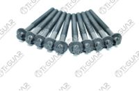 КОМПЛЕКТ БОЛТОВ (ГБЦ) TG-CHB024-SET * Ti•GUAR КОМПЛЕКТ БОЛТОВ (ГБЦ) TG-CHB024-SET * Ti•GUAR